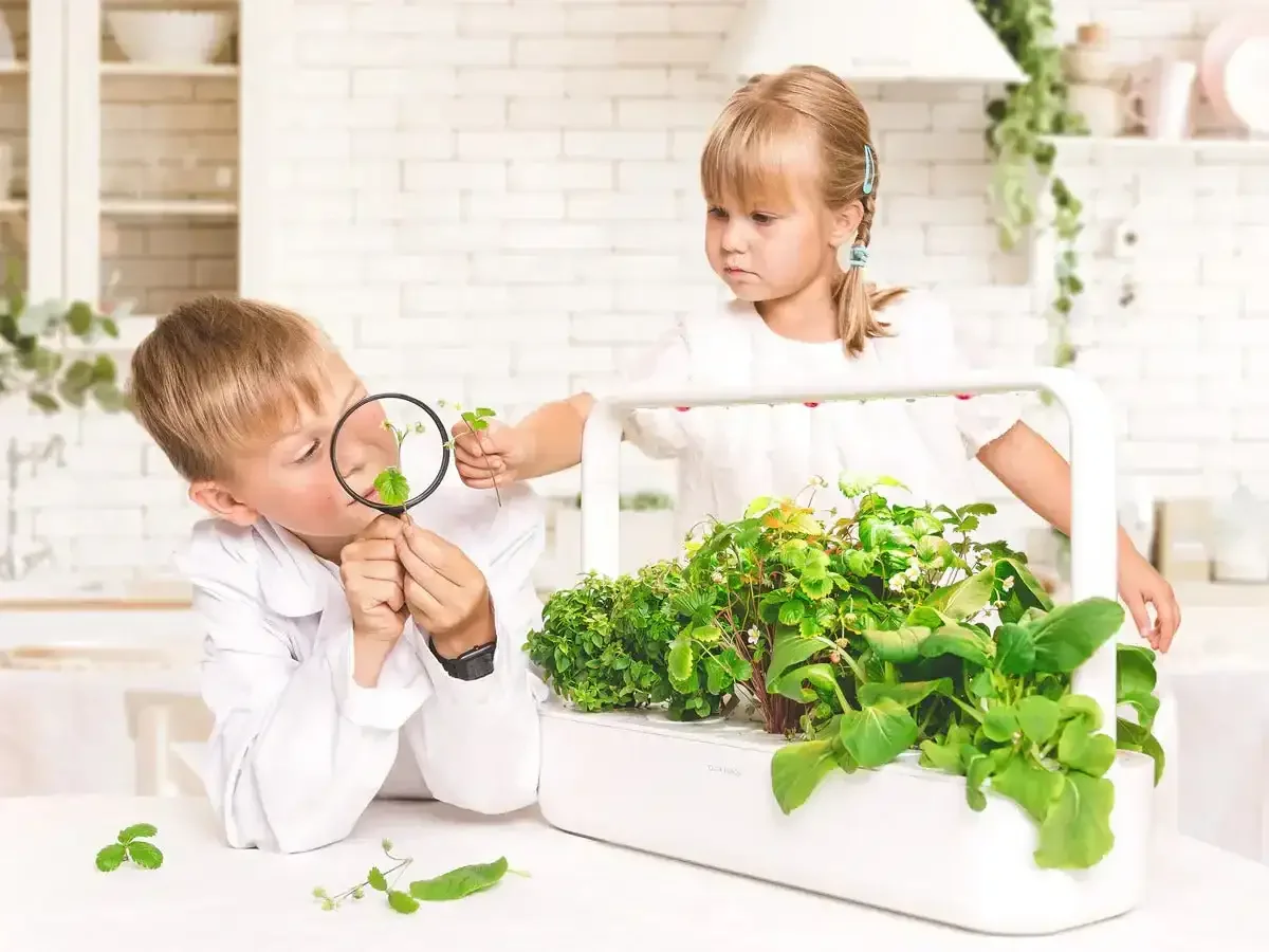 Click & Grow - Smart Garden 9 Starter Kit - Doniczka z Lampą Led do Uprawy Roślin - Image 8