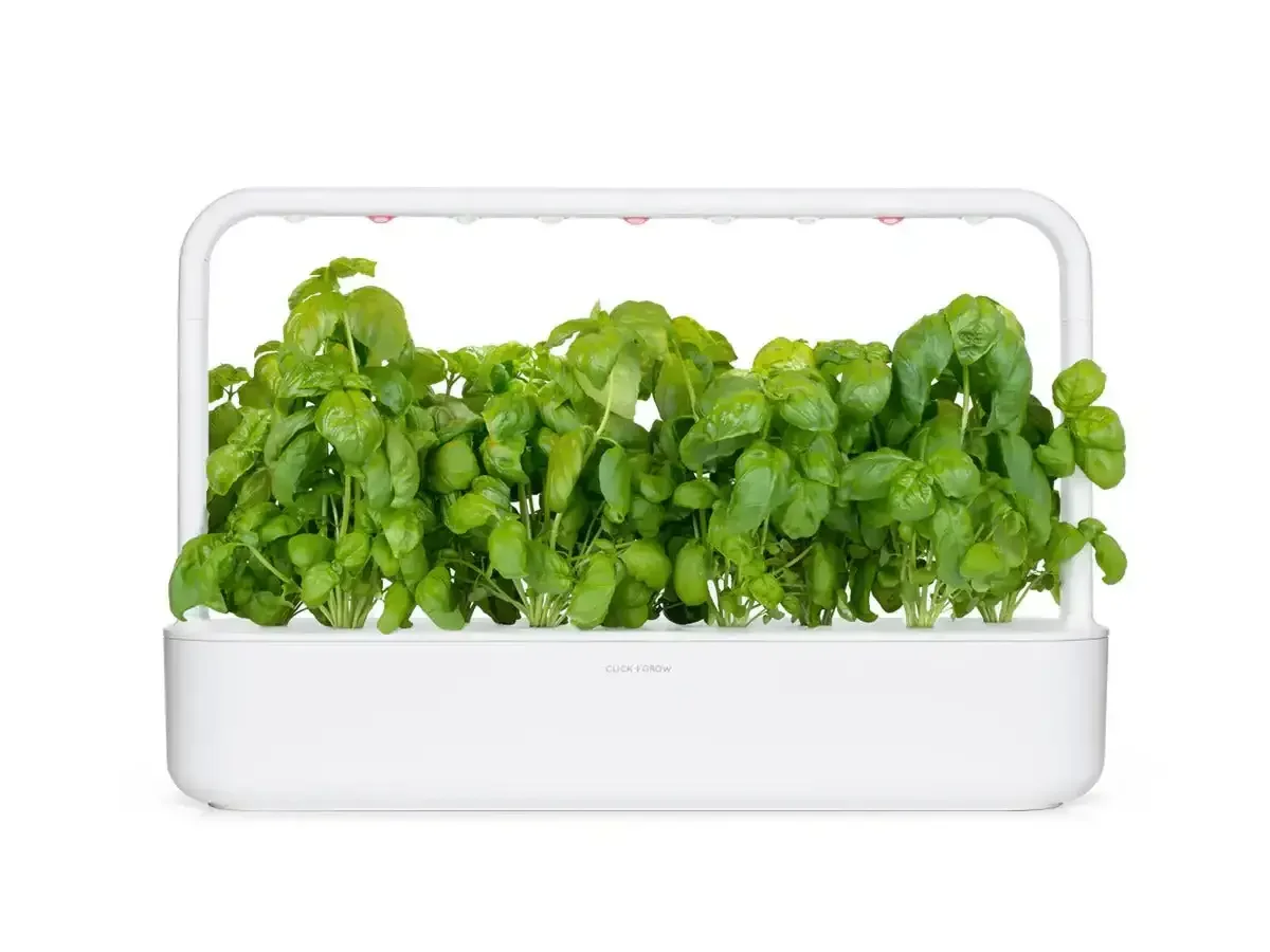 Click & Grow - Smart Garden Refill Basil - Starter do Uprawy z Nasionami - Bazylia - Image 4