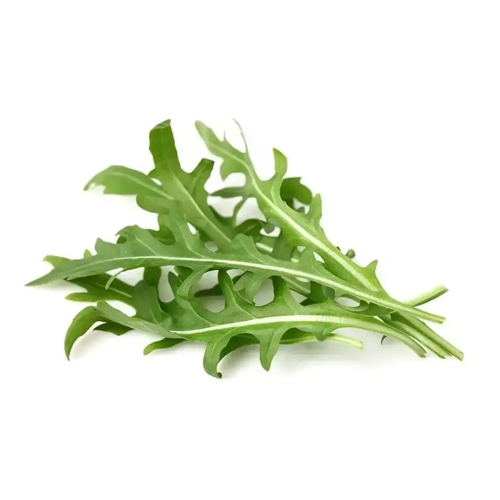 Click & Grow - Smart Garden Refill Leaf Mustard - Starter do Uprawy z Nasionami - Kapusta Sitowata