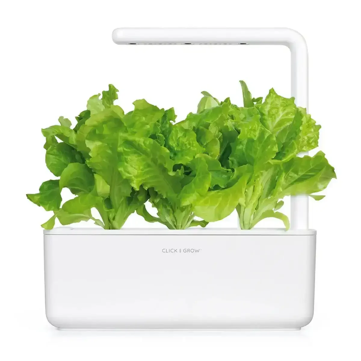 Click & Grow - Smart Garden Refill Green Lettuce - Starter do Uprawy z Nasionami - Sałata Siewna - Image 5