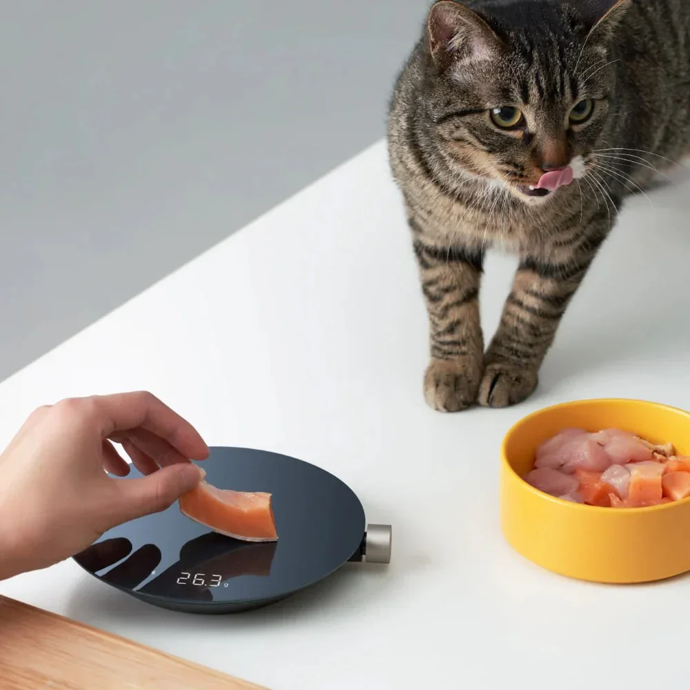 Hoto - Smart Kitchen Scale - Precyzycjna Waga Kuchenna Smart - Image 5